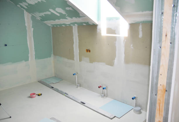 Trusted Escanaba, MI Mold Removal Experts