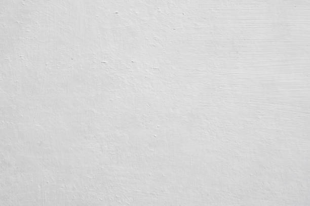 Mold Remediation for Rental Properties in Escanaba, MI