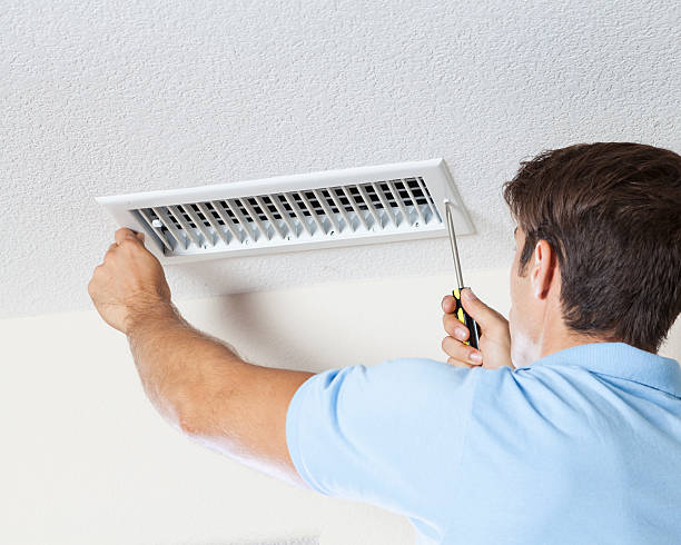 Best Industrial Mold Remediation  in Escanaba, MI