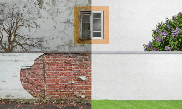 Best Mold Damage Restoration  in Escanaba, MI