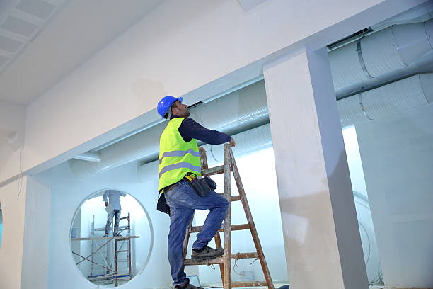 Best Mold Documentation for Insurance Claims  in Escanaba, MI